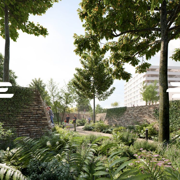 Groenaanleg Sportcampus Bree